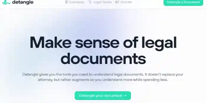 Detangle AI