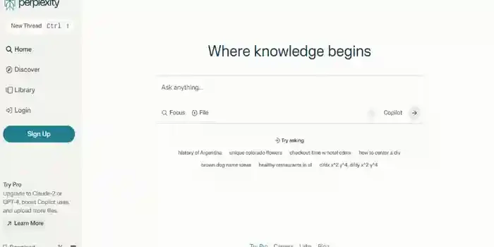 Perplexity AI