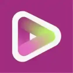 Vidyo AI